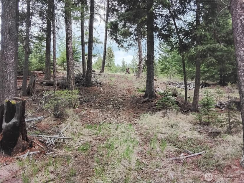 Property photo for 88 Cow Camp Road, Oroville photo 25