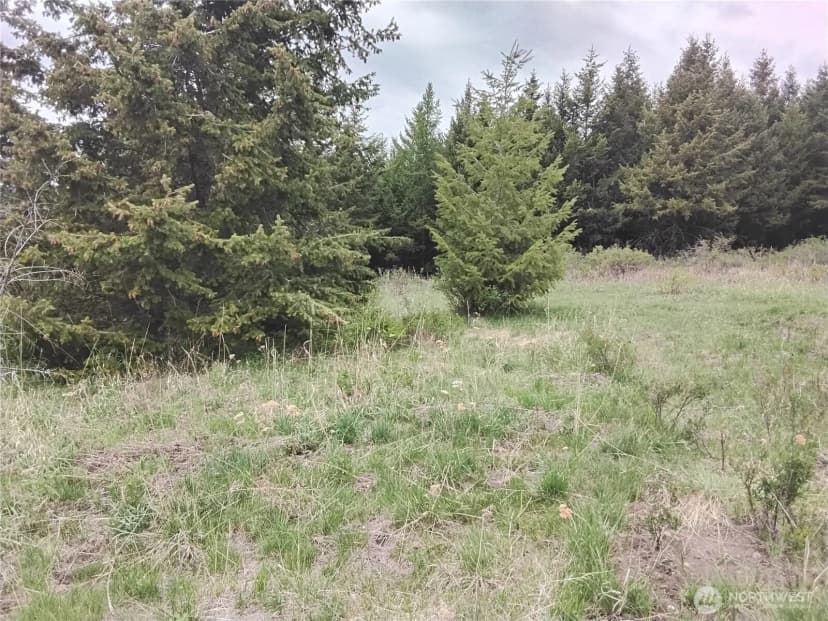 Property photo for 88 Cow Camp Road, Oroville photo 31