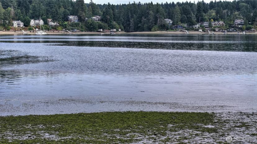 Property photo for 2400 24th Street Nw, Gig Harbor photo 26