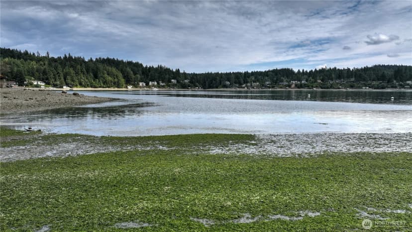 Property photo for 2415 48th Avenue Nw, Gig Harbor photo 26