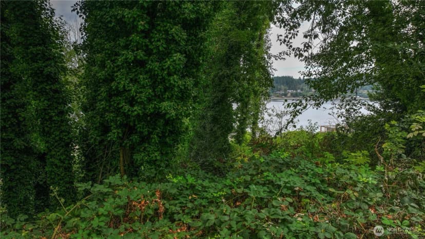 Property photo for 2415 48th Avenue Nw, Gig Harbor photo 23