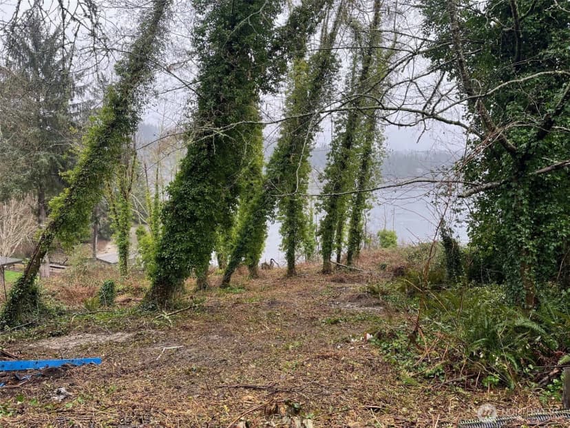 Property photo for 2415 48th Avenue Nw, Gig Harbor photo 20