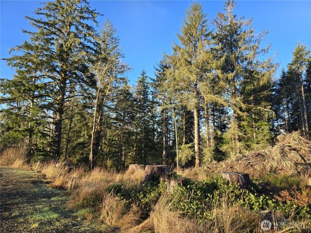 Property photo for 2753 State Route 101, Ilwaco photo 5
