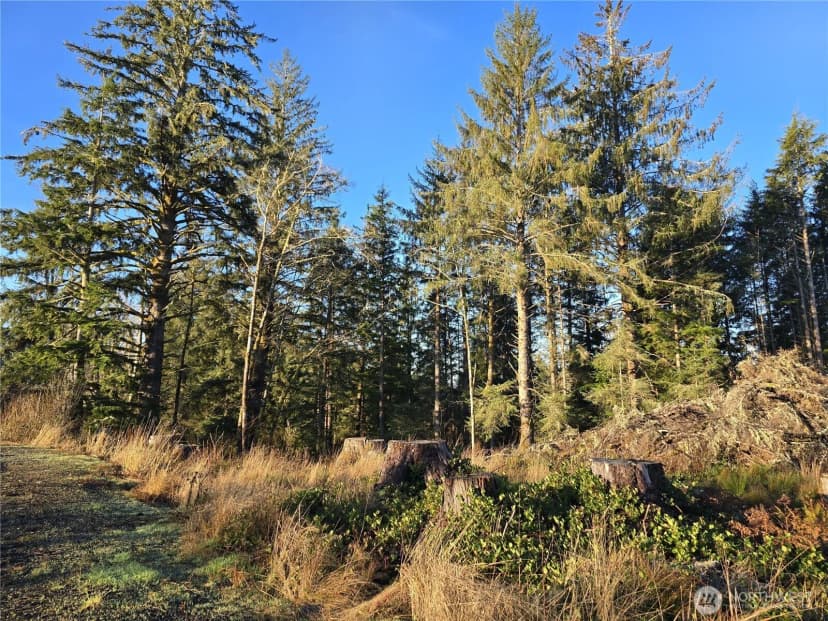 Property photo for 2753 State Route 101, Ilwaco photo 5