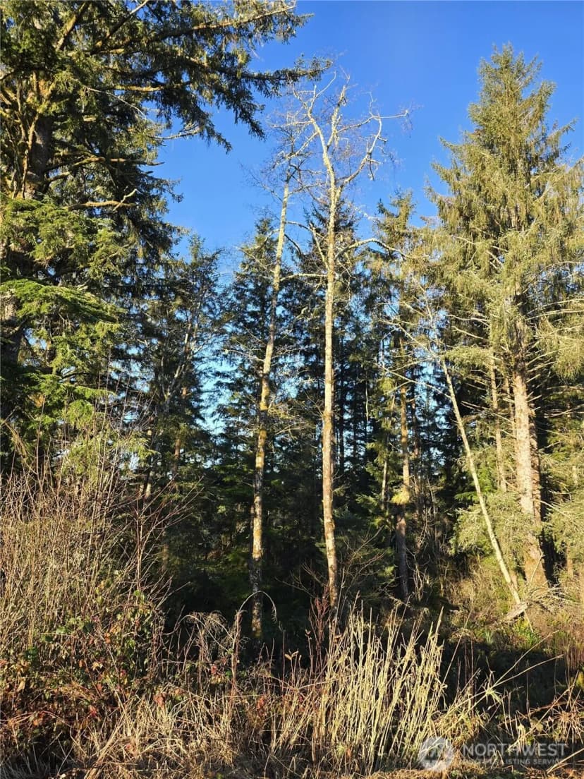 Property photo for 2753 State Route 101, Ilwaco photo 6