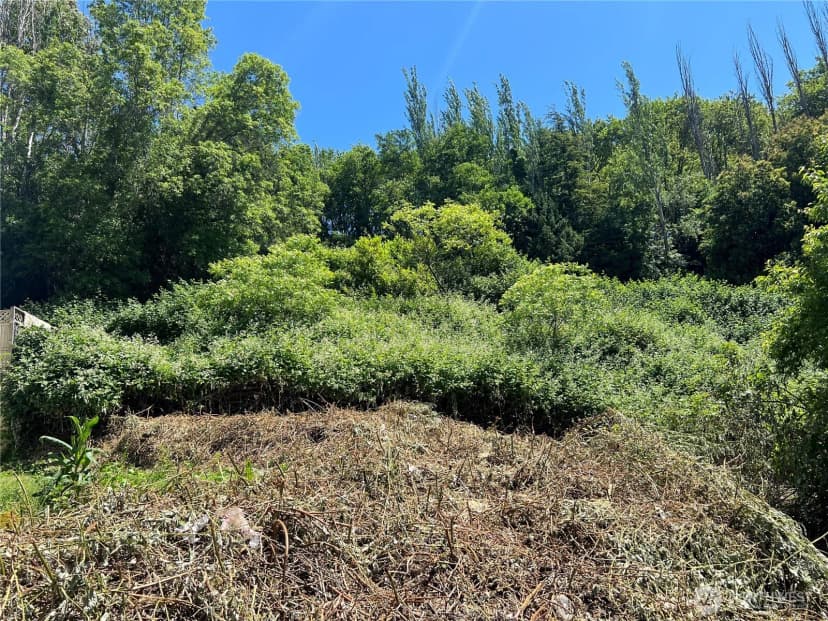 Property photo for 79 Xx Military Road S, Seattle photo 2
