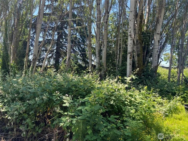 Property photo for 79 Xx Military Road S, Seattle photo 5