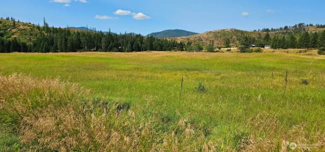 Property photo for 1041 Ward Way, Colville photo 5
