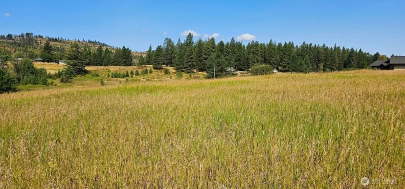 Property photo for 1041 Ward Way, Colville photo 12