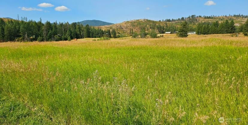 Property photo for 1041 Ward Way, Colville photo 7