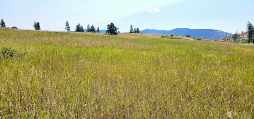 Property photo for 1041 Ward Way, Colville photo 16