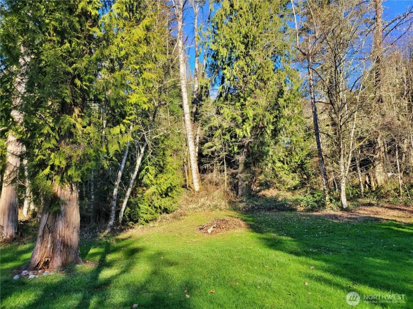 Property photo for 301 Winston Creek Road, Mossyrock photo 33