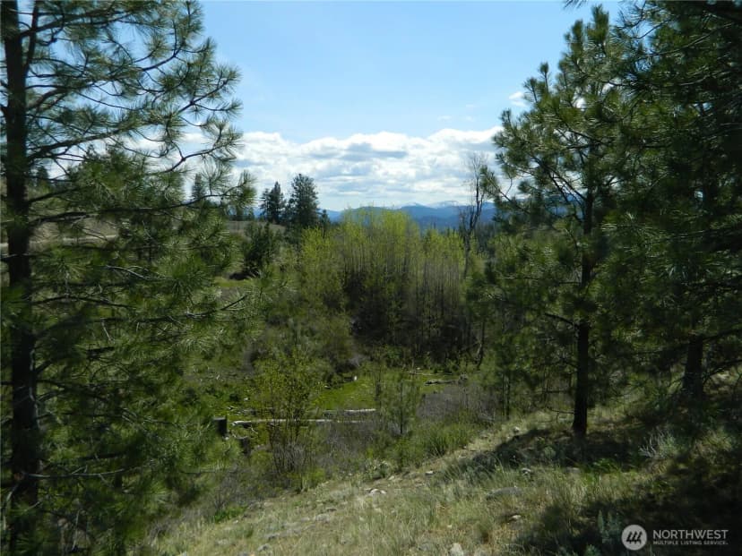 Property photo for 0 Tbd High Country Drive W, Tonasket photo 28