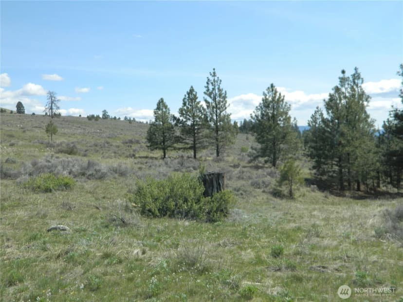 Property photo for 0 Tbd High Country Drive W, Tonasket photo 31