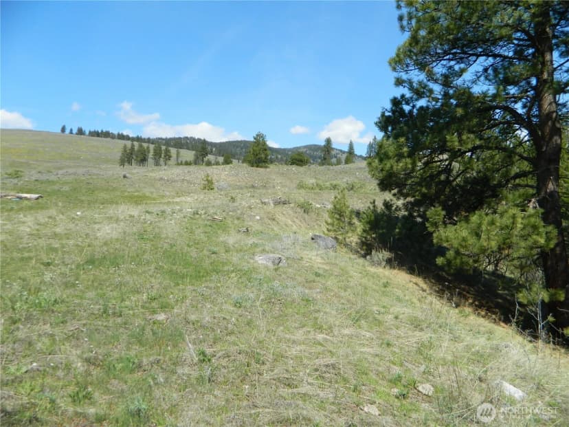 Property photo for 0 Tbd High Country Drive W, Tonasket photo 27