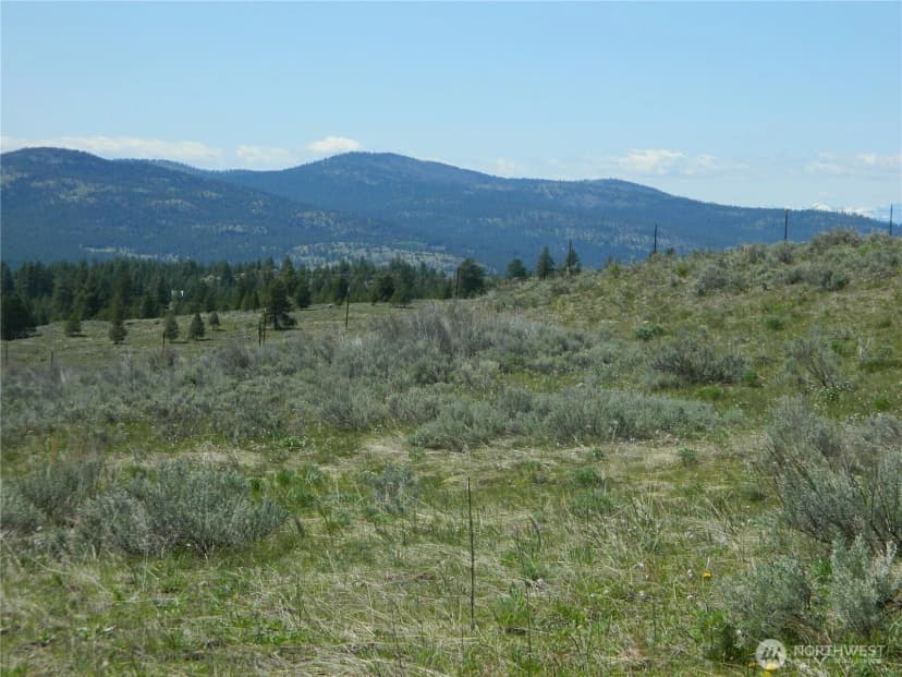 Property photo for 0 Tbd High Country Drive W, Tonasket photo 26