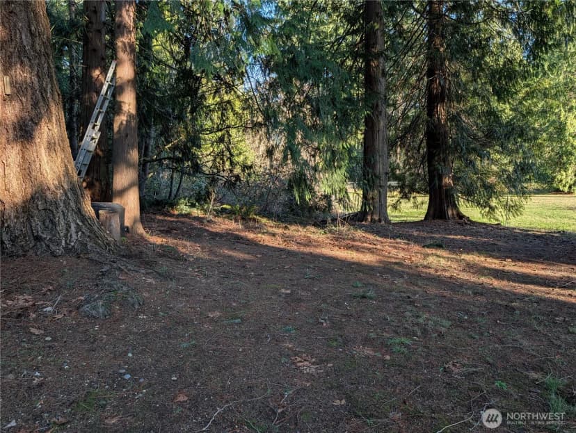 Property photo for 12105 25th Avenue Se, Everett photo 11