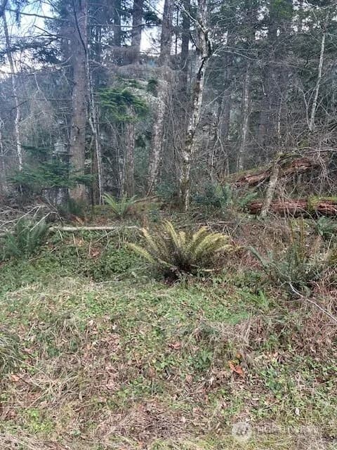 Property photo for 0 Se 166th Street, North Bend photo 2