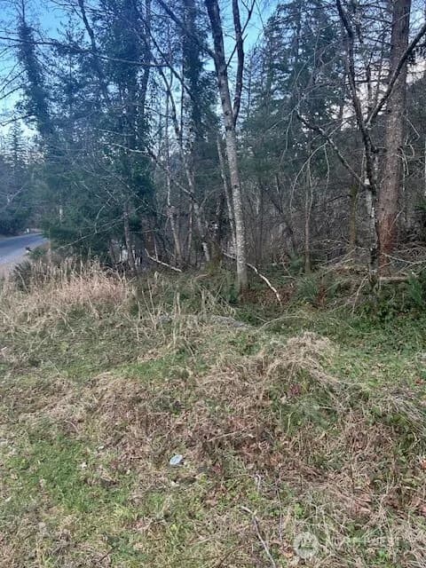 Property photo for 0 Se 166th Street, North Bend photo 3
