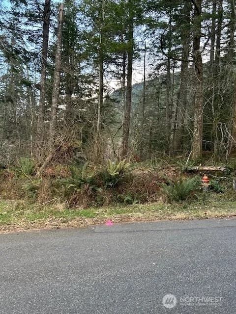 Property photo for 0 Se 166th Street, North Bend photo 4