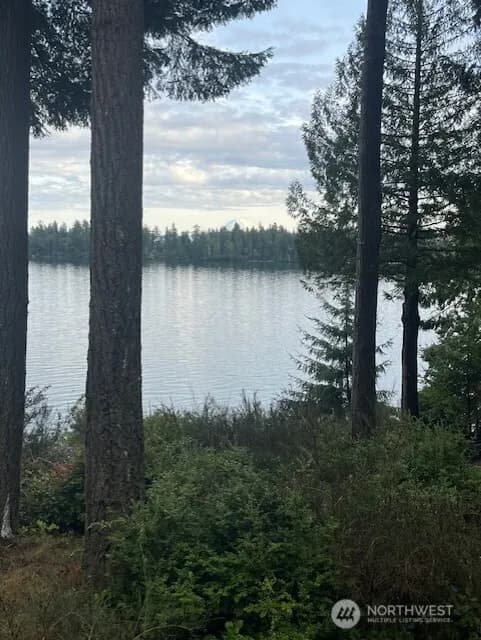 Property photo for 909 Lorenz Road Nw, Lakebay photo 40