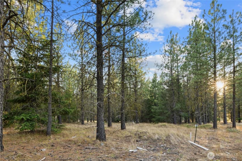 Property photo for 131 Gold Leaf Lane, Cle Elum photo 9