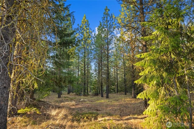 Property photo for 131 Gold Leaf Lane, Cle Elum photo 5
