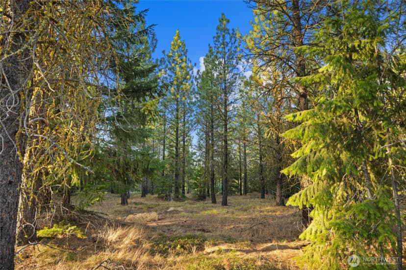 Property photo for 131 Gold Leaf Lane, Cle Elum photo 5