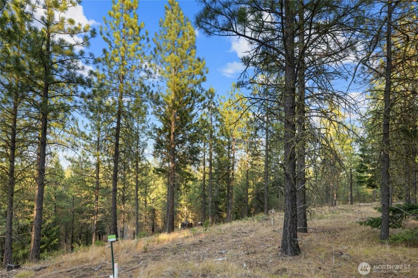 Property photo for 131 Gold Leaf Lane, Cle Elum photo 7