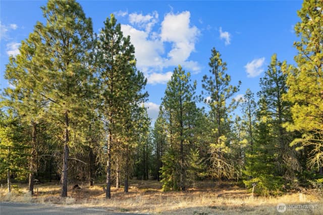 Property photo for 131 Gold Leaf Lane, Cle Elum photo 4