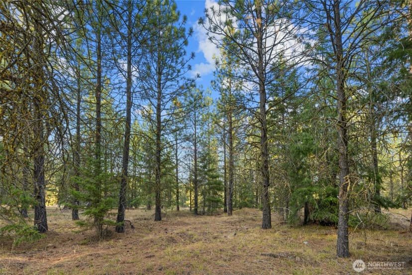 Property photo for 131 Gold Leaf Lane, Cle Elum photo 6