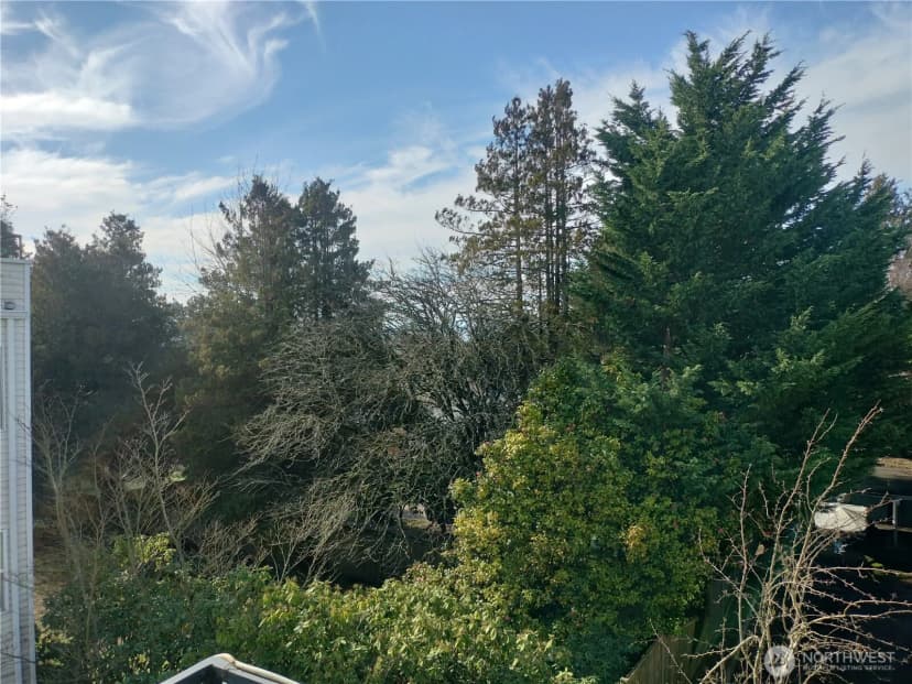 Property photo for 11755 Greenwood Avenue N #203, Seattle photo 10