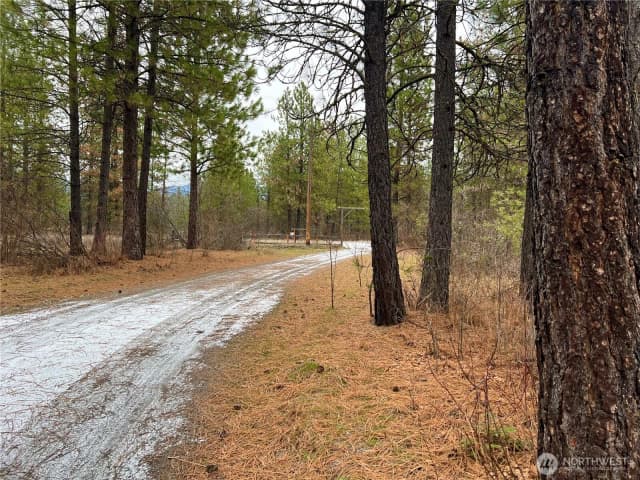Property photo for 4396 Northport Flat Creek Road, Northport photo 3