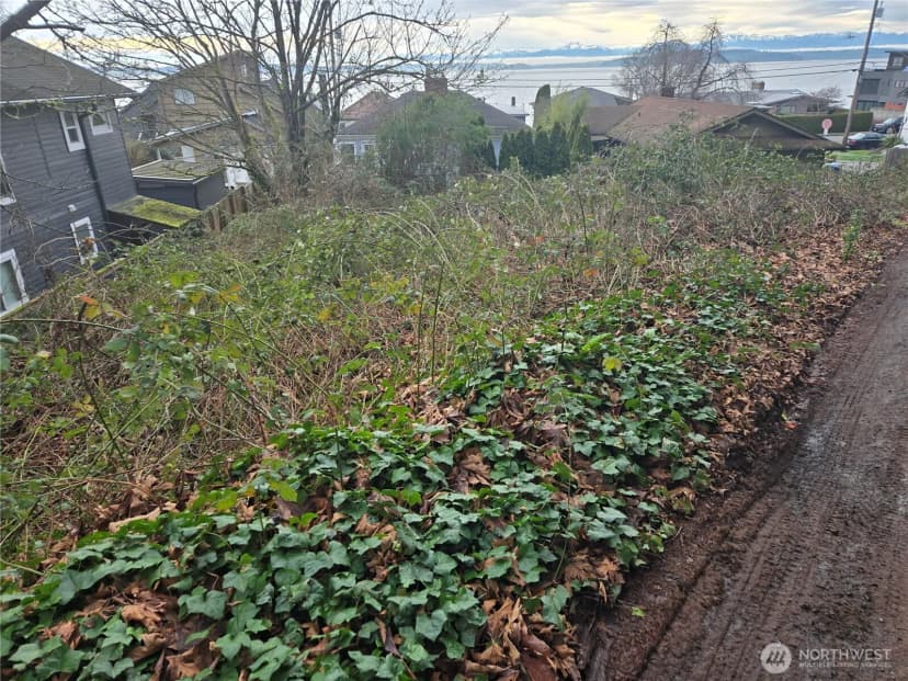 Property photo for 5205 Sw Canada Street, Seattle photo 10