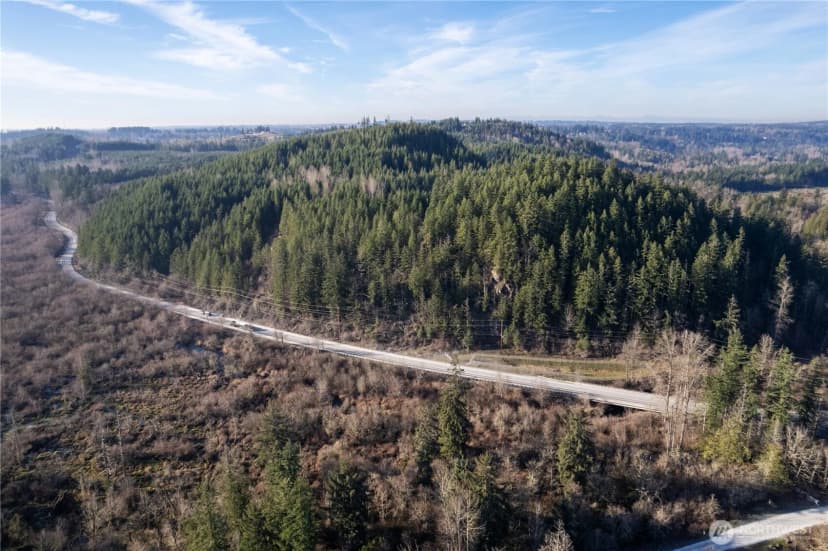 Property photo for 0 Orville Road E, Orting