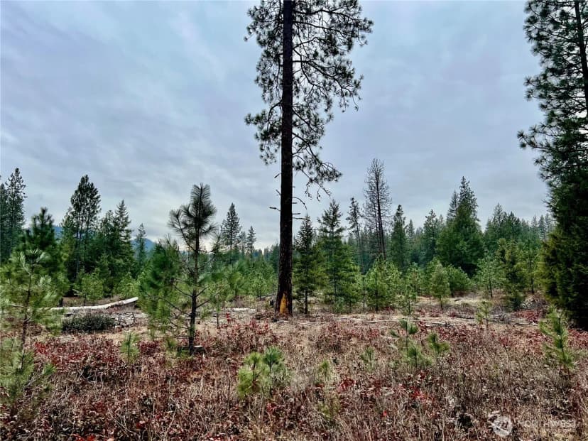 Property photo for 0 40tbd Hwy 25 N, Northport