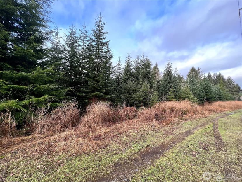 Property photo for 0 Hwy 101, Cosmopolis photo 6
