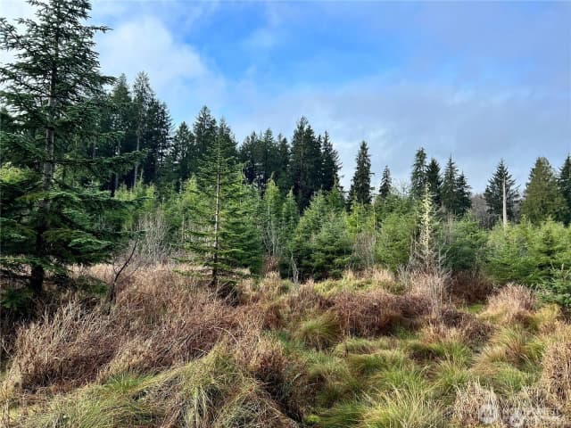 Property photo for 0 Hwy 101, Cosmopolis photo 5