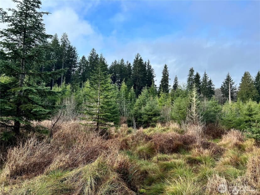 Property photo for 0 Hwy 101, Cosmopolis photo 5