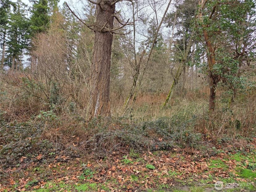 Property photo for 103 B Whidbey Island Drive, Hat Island photo 3