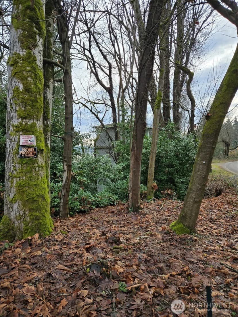 Property photo for 14014 41st Avenue Ne, Seattle photo 17