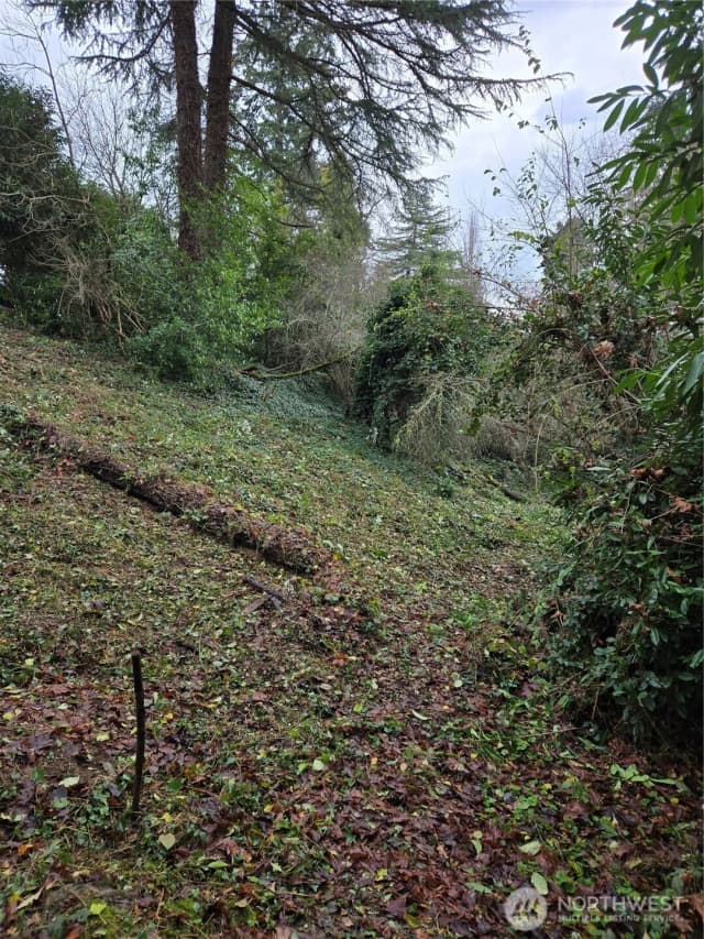 Property photo for 14014 41st Avenue Ne, Seattle photo 5
