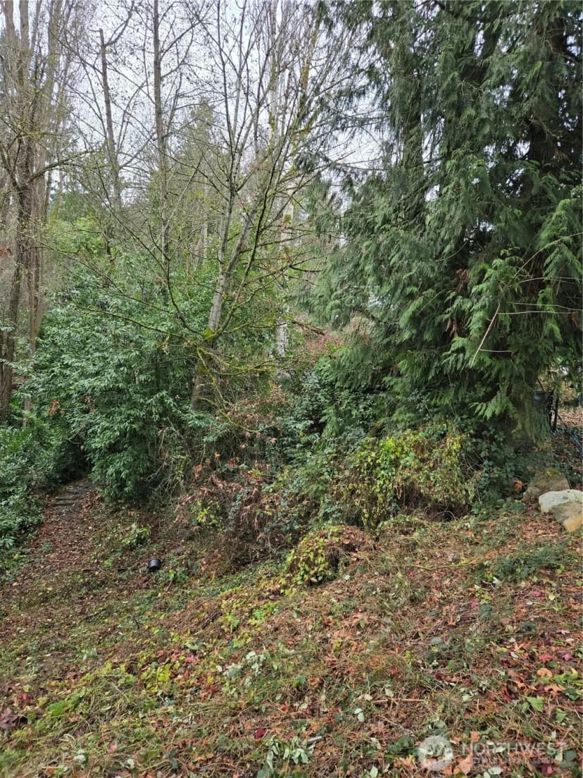 Property photo for 14014 41st Avenue Ne, Seattle photo 12