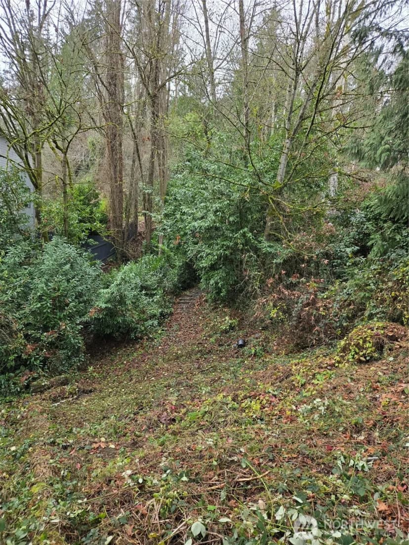 Property photo for 14014 41st Avenue Ne, Seattle photo 13