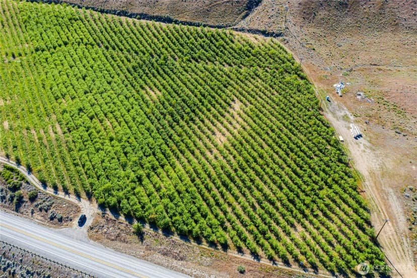 Property photo for 0 Us Hwy 97a, Chelan photo 8