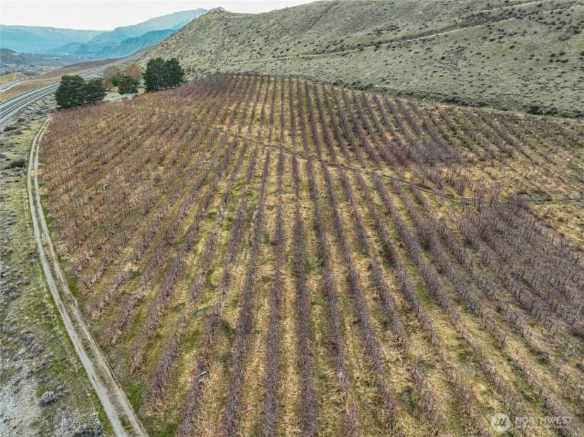 Property photo for 0 Us Hwy 97a, Chelan photo 20