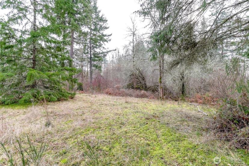 Property photo for 25314 48th Avenue E, Graham photo 14