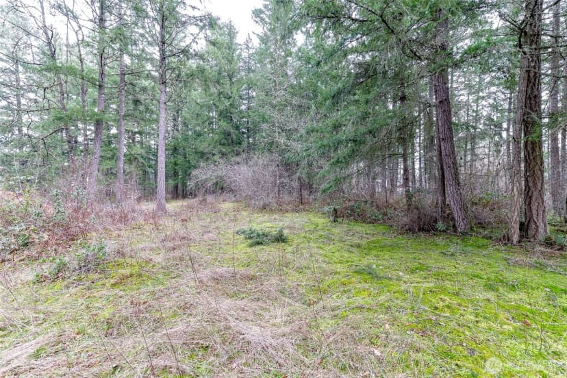 Property photo for 25314 48th Avenue E, Graham photo 15