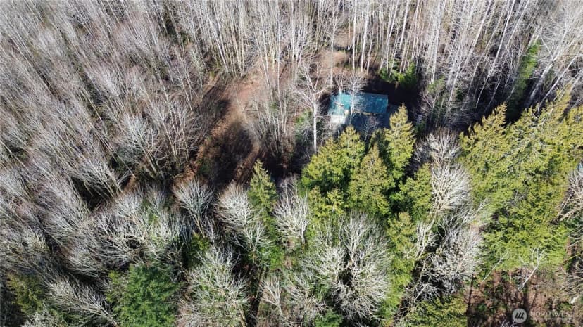 Property photo for 46824 Everett Lake Rd, Concrete photo 34