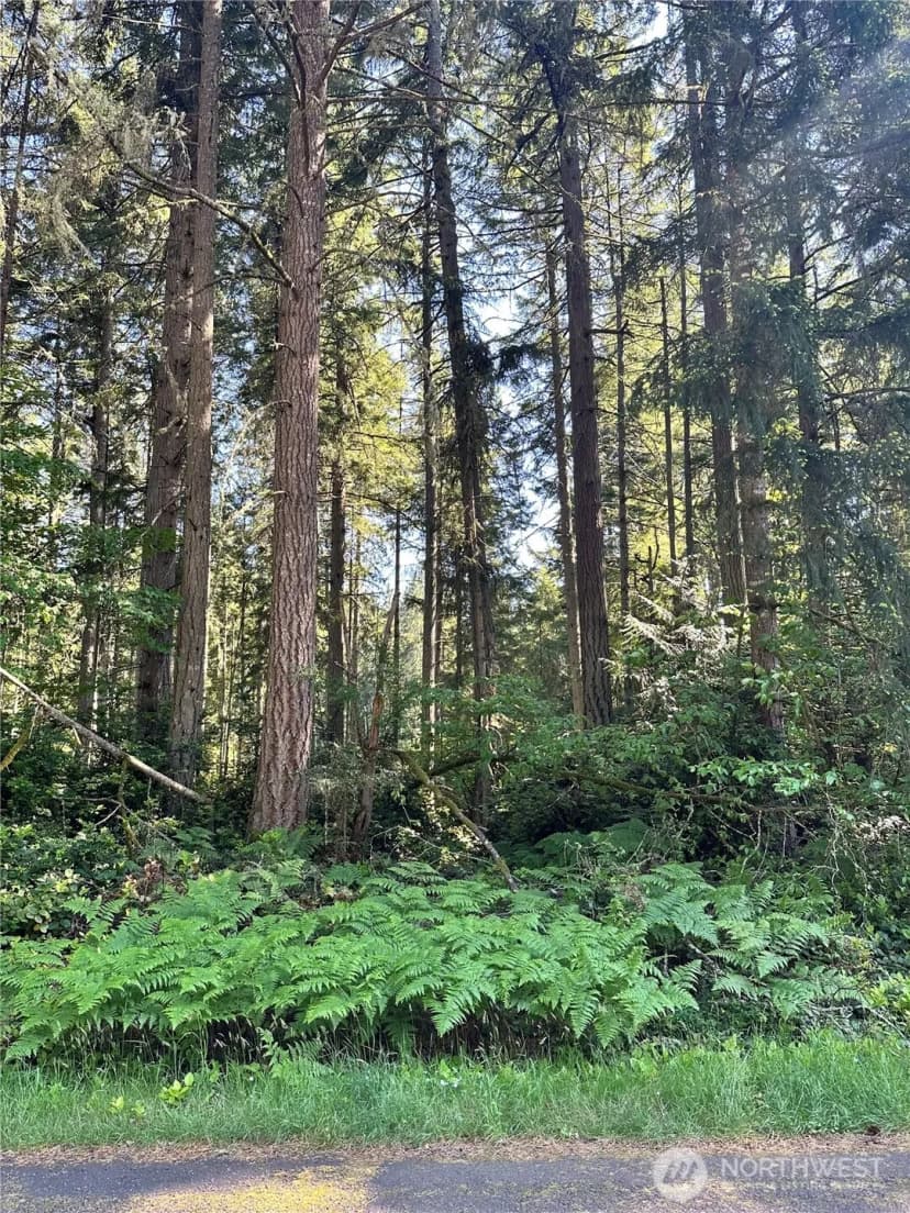 Property photo for 11825 112th Avenue, Anderson Island